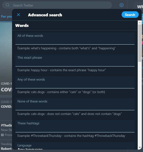 Screenshot: Twitter Advanced Search
